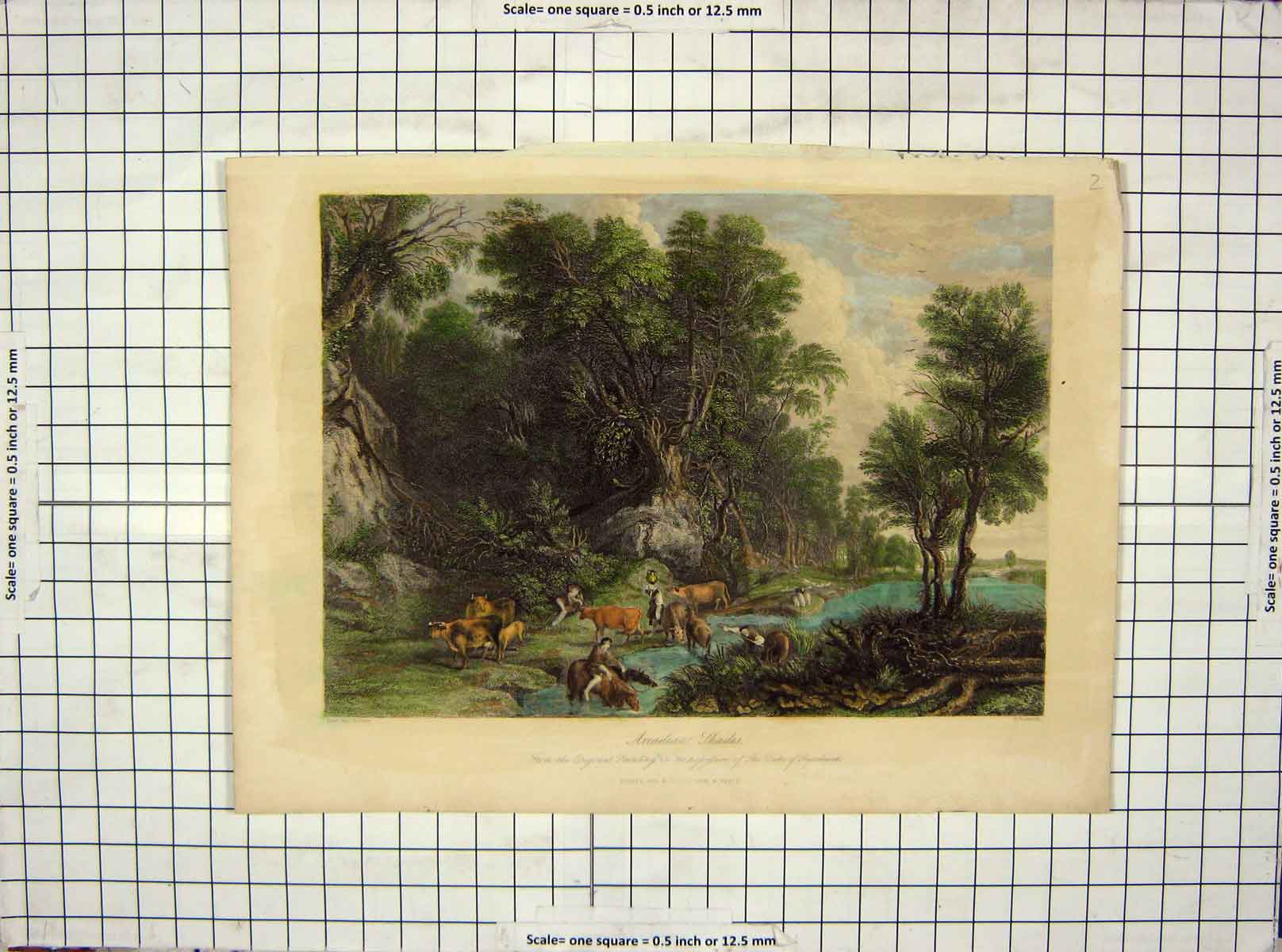 Original Old Antique Print Colour Arcadian Shades Trees Animals Beckwith