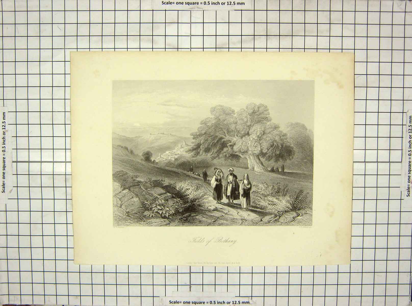 Original Old Antique Print View Fields Bethany Mountains Bartlett Armytage 19th