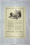 Old Antique Print 1900-1960 Advertisement Bank New South Wales Australia 20th