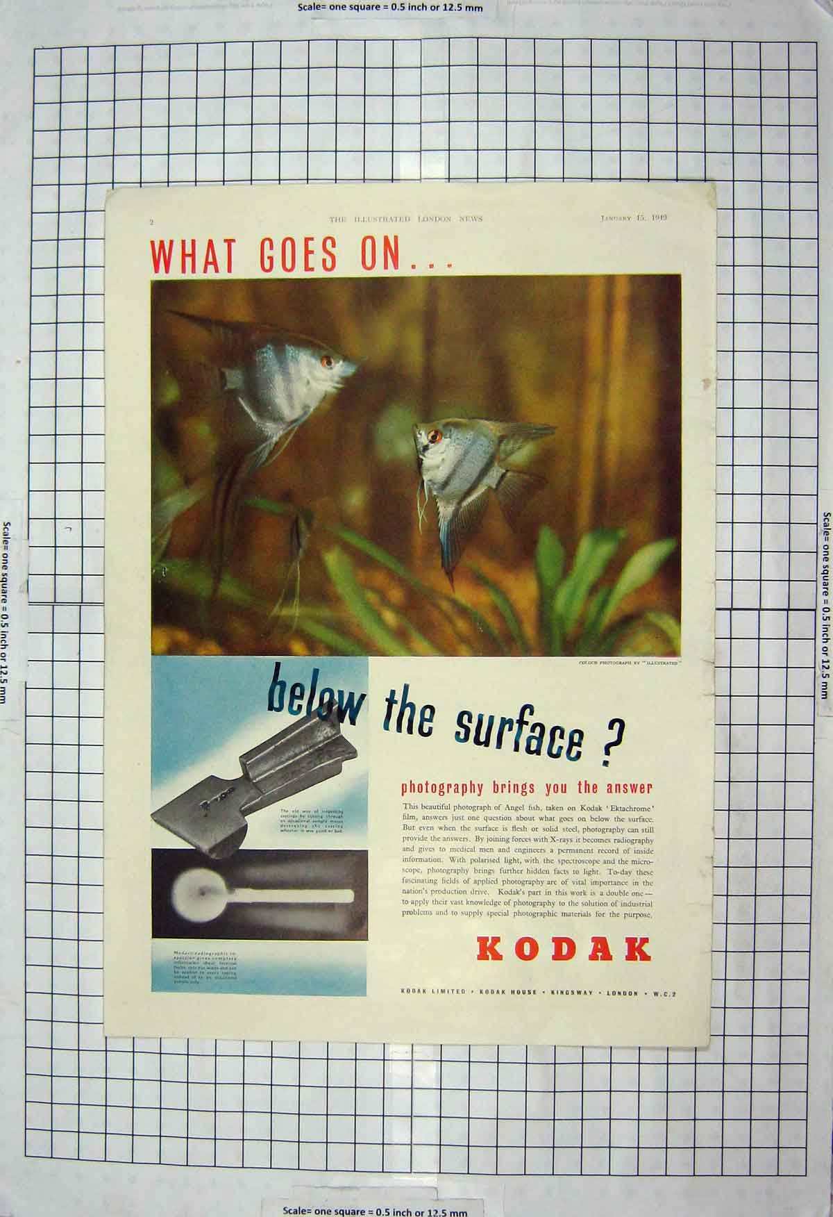 Original Old Vintage Print 1949 Advertisement Kodak Photography Kingsway London