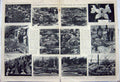 Rare Old Orginal Antique Print 1947 Chelsea Flower Show King Queen Englan 20th