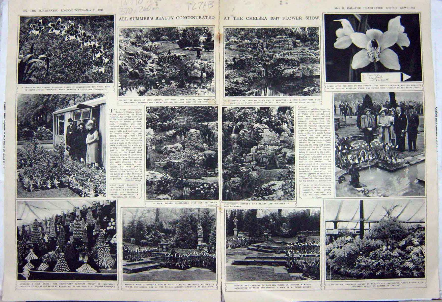 Rare Old Orginal Antique Print 1947 Chelsea Flower Show King Queen Englan 20th