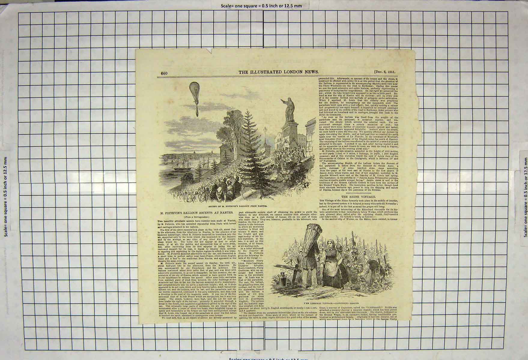 Old Antique Print 1851 Poitevin Balloon Nantes Gathering Grapes Liebfrau 19th