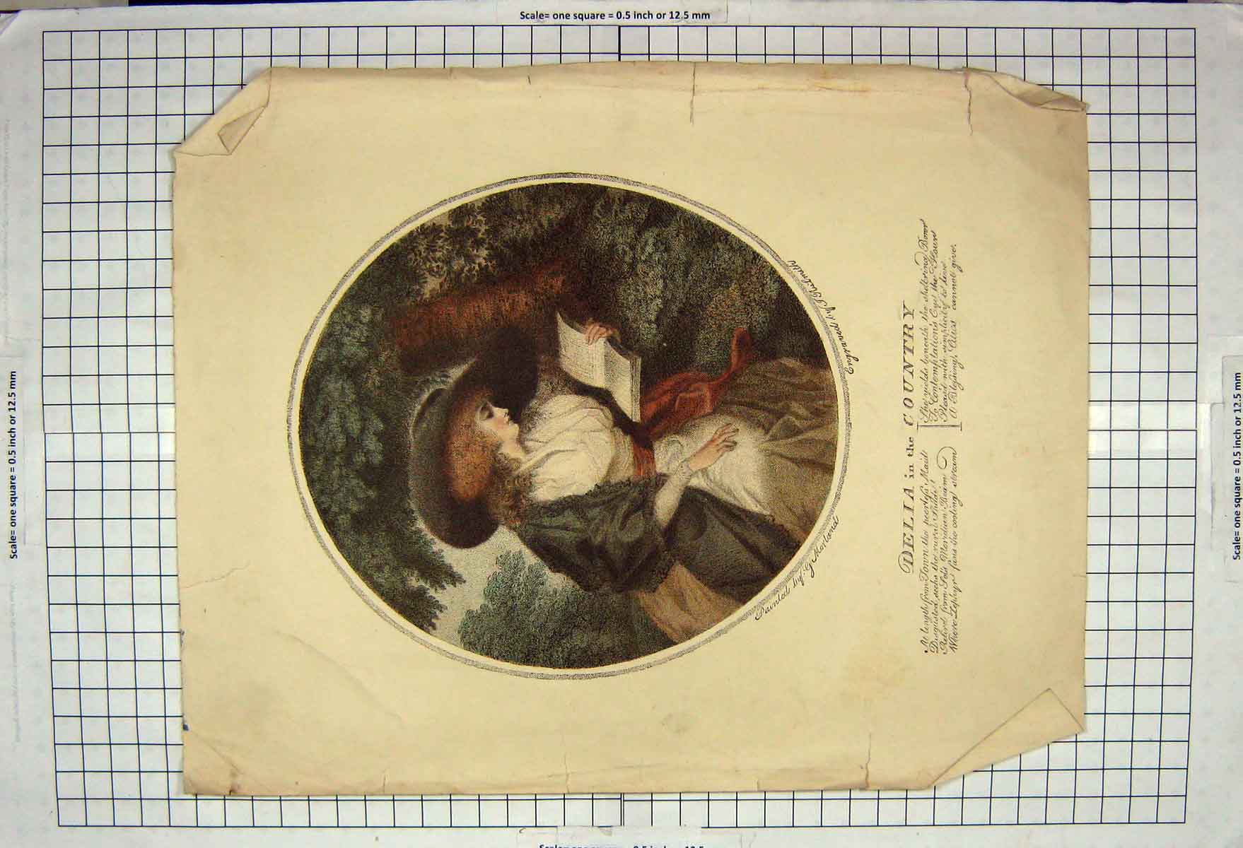 Original Old Antique Print Portrait Delia Country Reading Book Engraving
