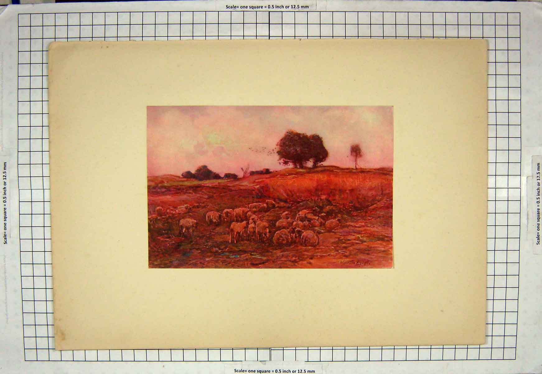 Original Old Antique Print C1910 Watercolour Gravel Pitt Sheep William Estall