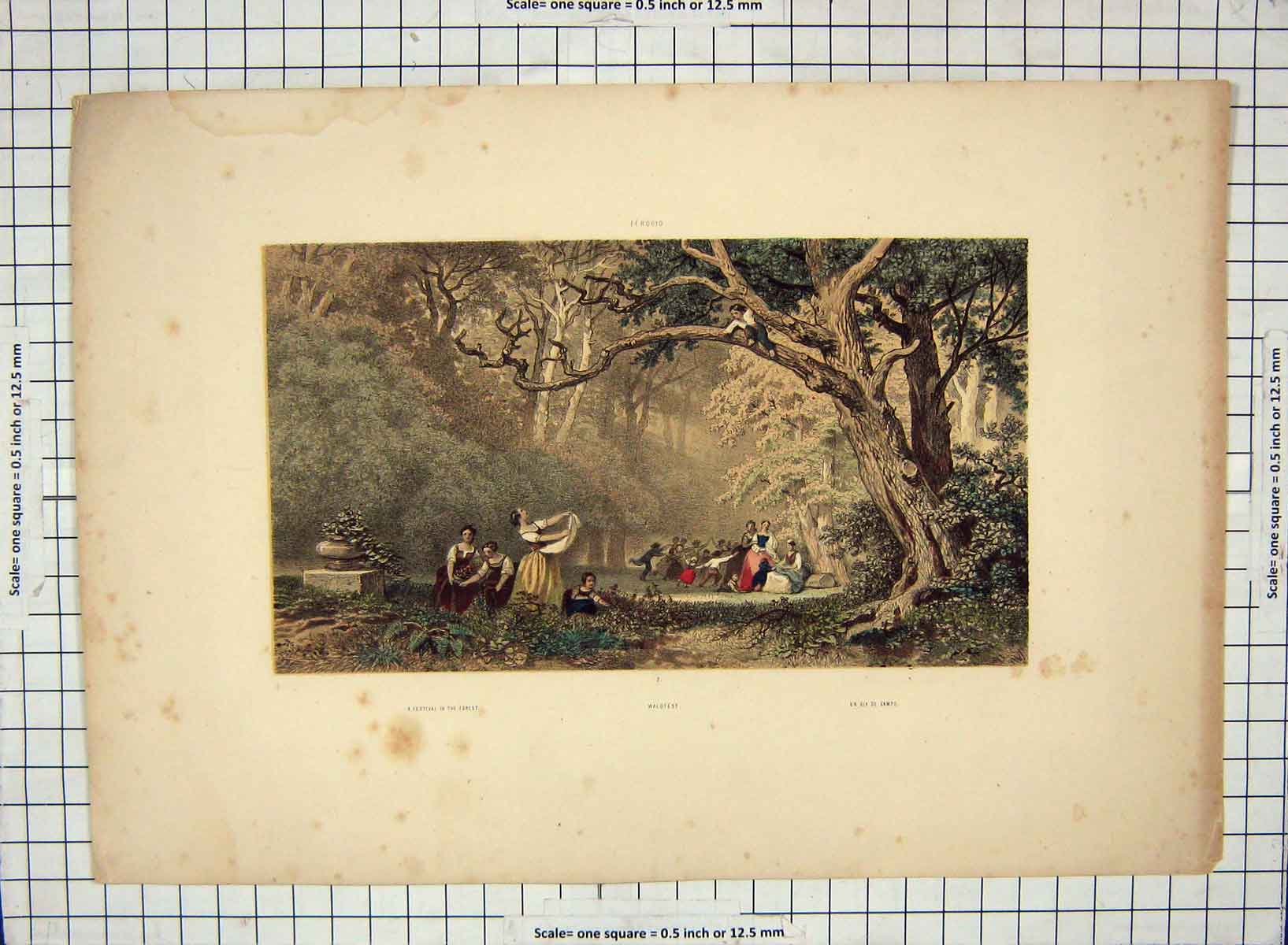 Original Old Antique Print Festival Forest Waldfest Campo Terogio Colour