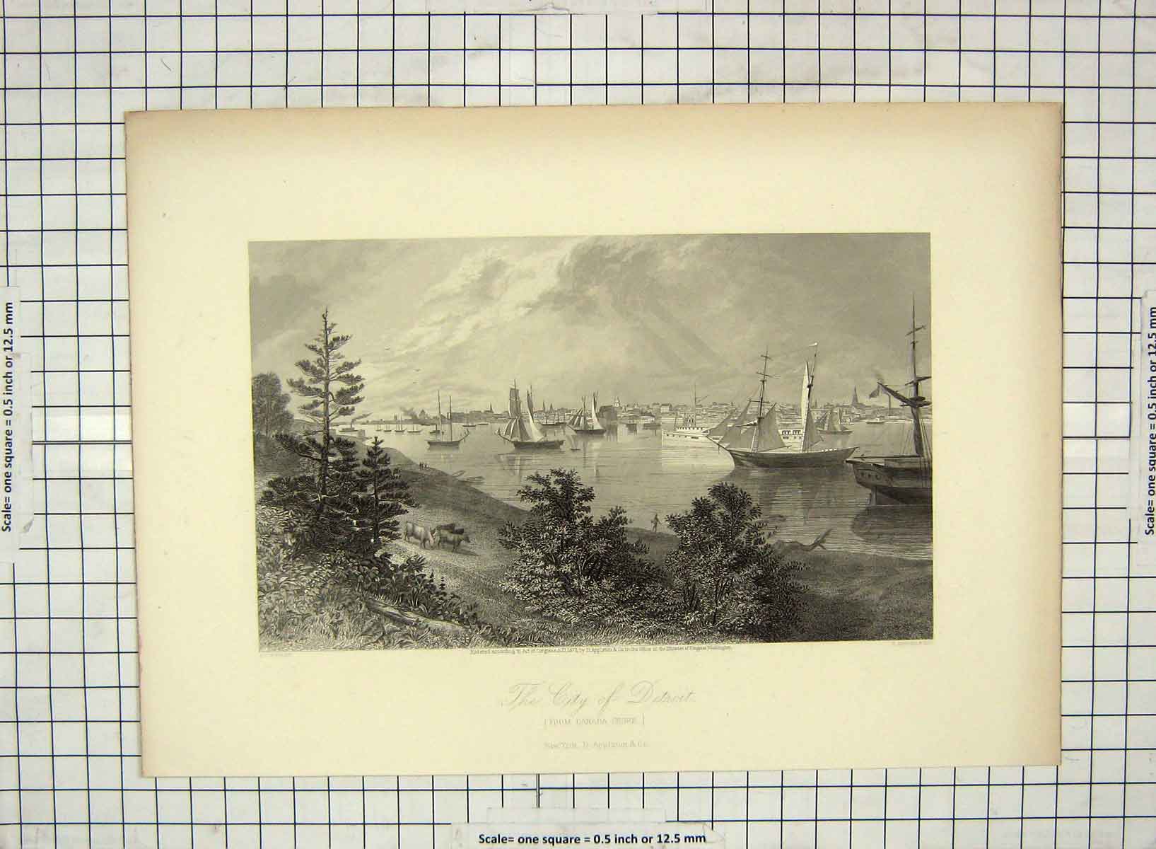 Old Antique Print 1874 View City Detroit Canada Ships Hinshelwood Warren 19th