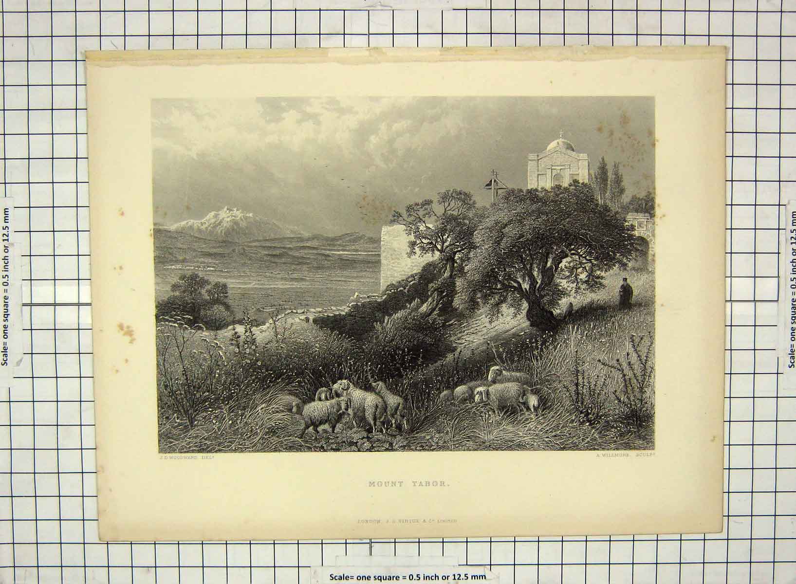 Original Old Antique Print View Mount Tabor Sheep Mountains Willmore Woodward