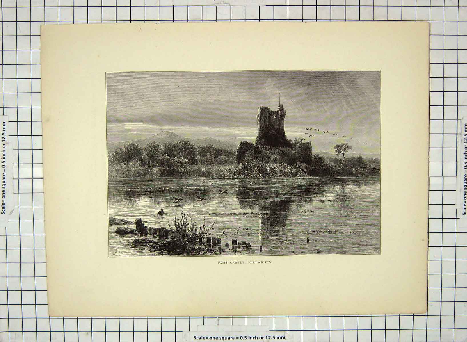Original Old Antique Print C1880 South Stack Lighthouse Holyhead Sea Cliffs