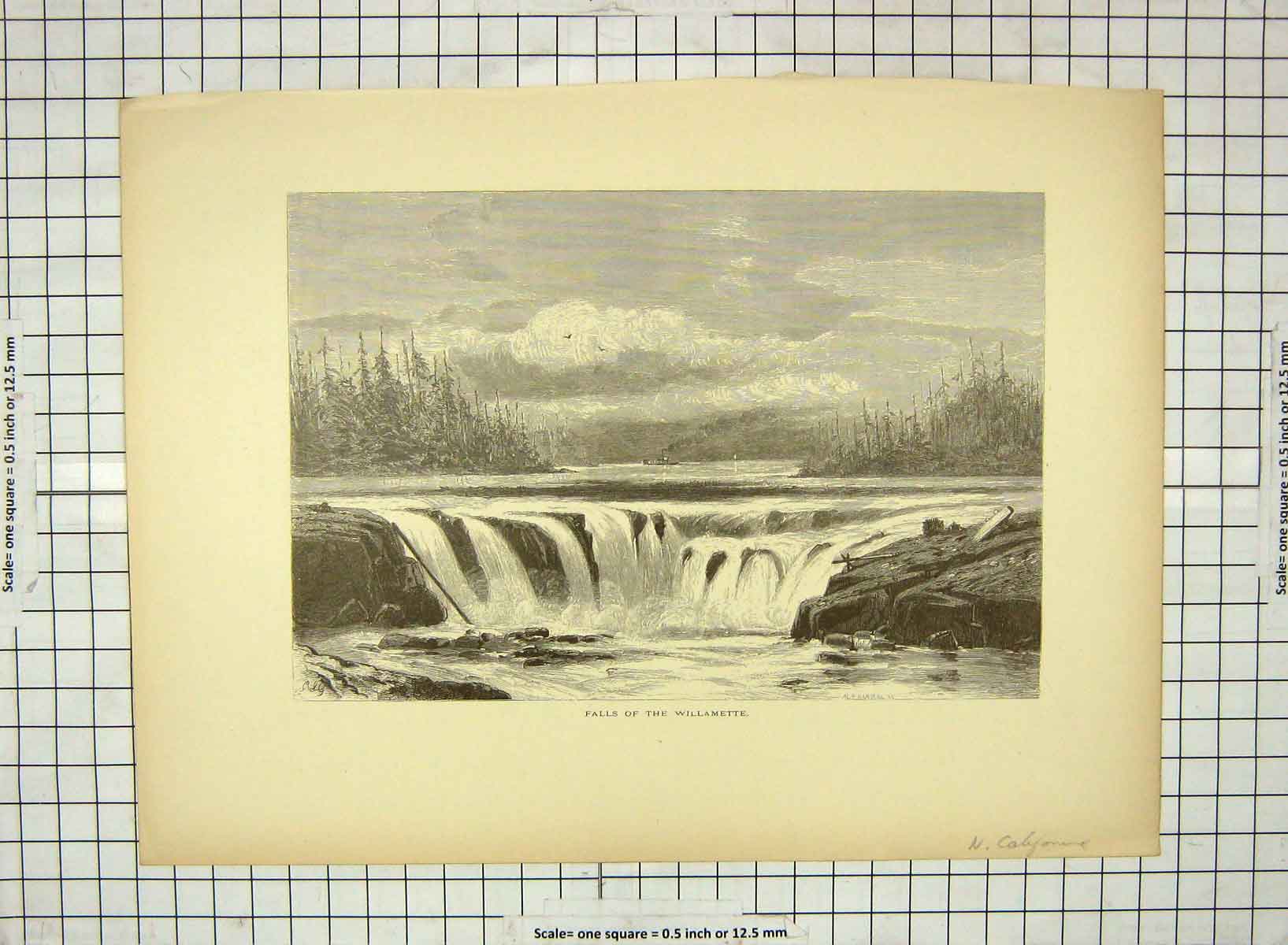 Original Old Antique Print C1880 View Falls Willamette River Trees Victorian