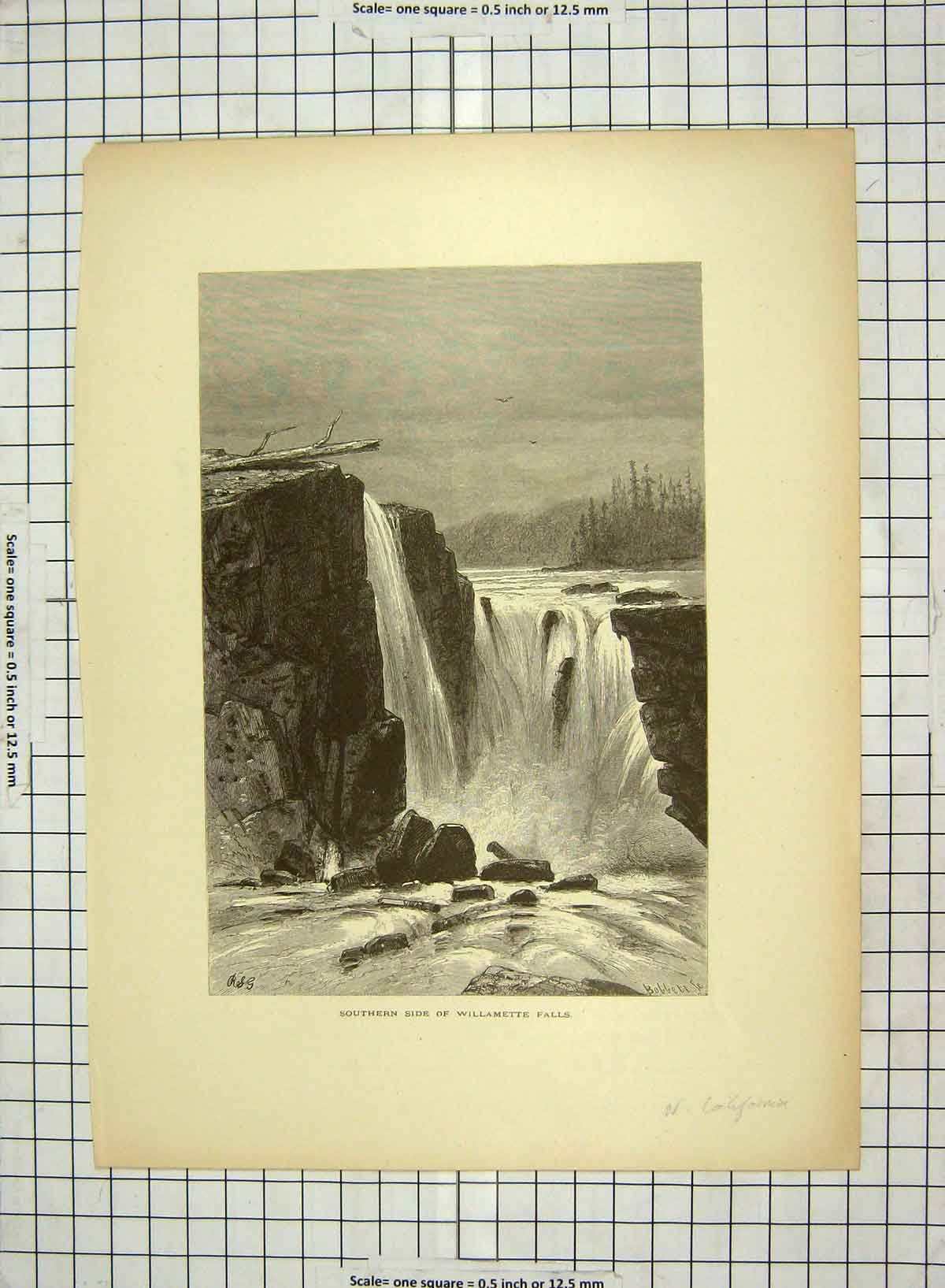 Old Antique Print C1880 Southern Side Willamette Falls River California 19th