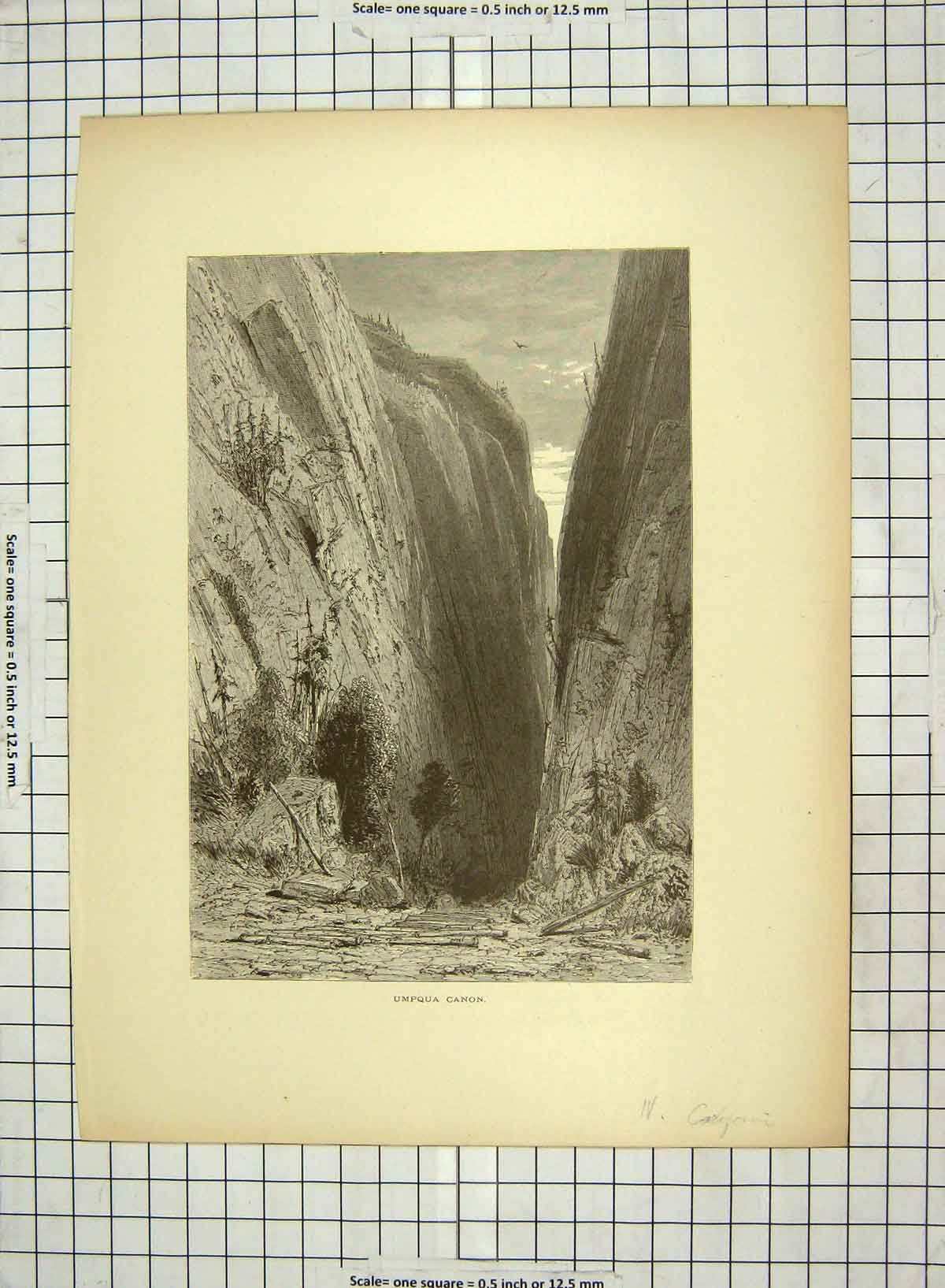 Original Old Antique Print C1880 View Umpqua Canon California North America