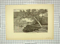 Original Old Antique Print C1880 Passaic River Little Falls Trees Victorian