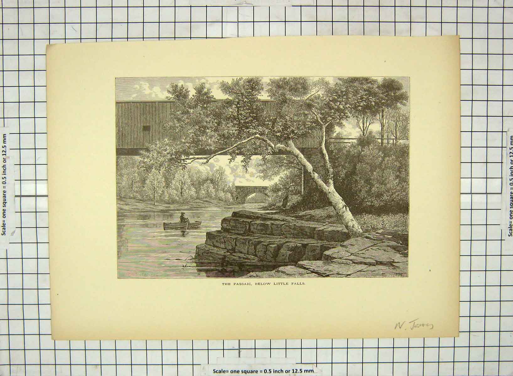 Original Old Antique Print C1880 Passaic River Little Falls Trees Victorian