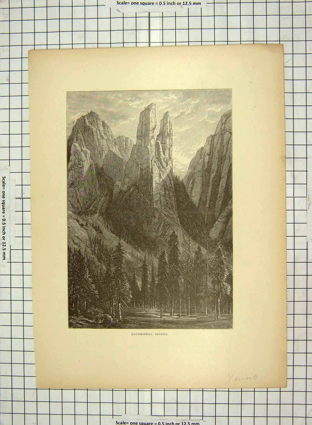 Old Antique Print C1880 Cathedral Spires Trees Mountains Yosemite America 19th