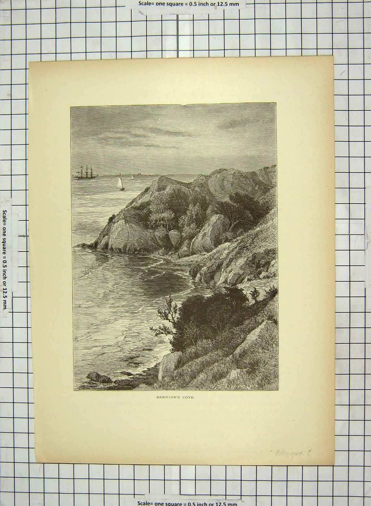 Original Old Antique Print C1880 View Brenion'S Cove Newport Ships Cliffs 19th