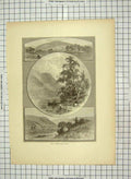 Original Old Antique Print C1880 Upper Delaware Mountains Trees Boat America