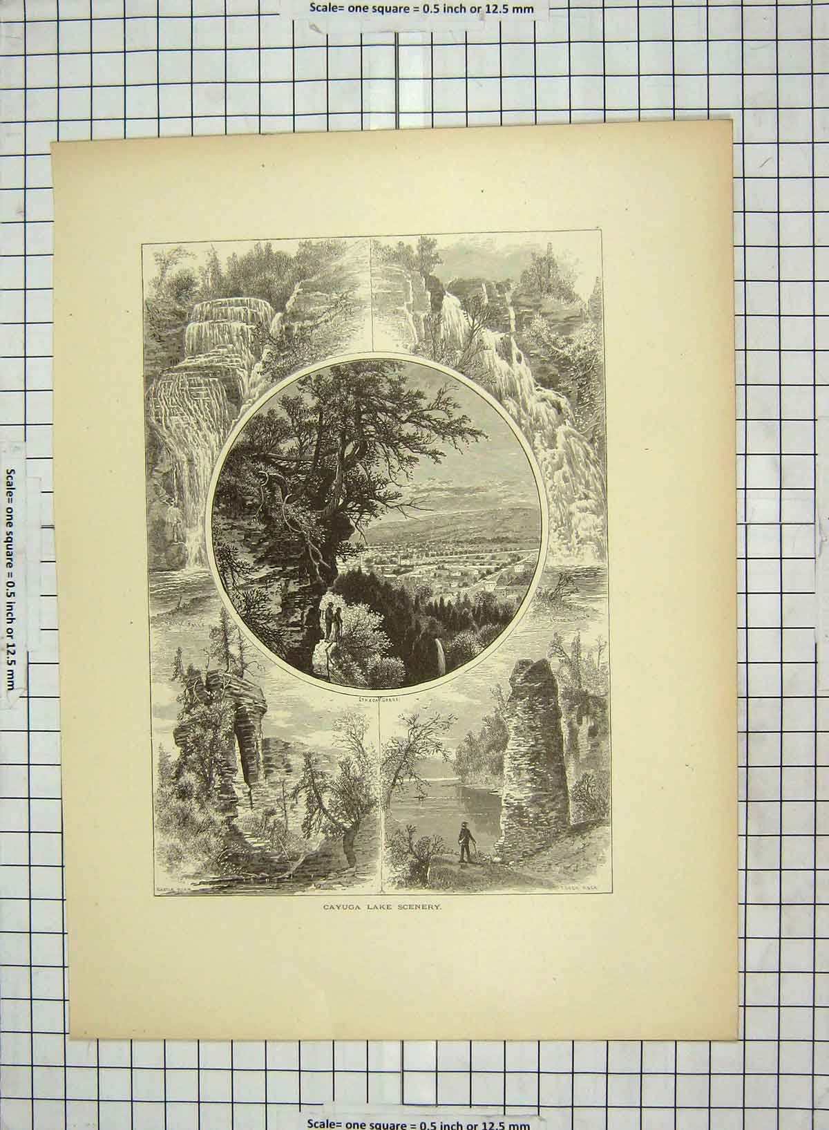 Original Old Antique Print C1880 Cayuga Lake Scenery Tower Rock Gorge Mountains