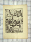 Original Old Antique Print C1880 Eroded Sandstones Monument Park America 19th