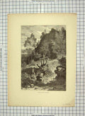 Original Old Antique Print C1880 Eagle Rock Orange Jersey America Passare 19th