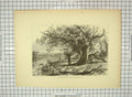 Original Old Antique Print C1880 Connecticut Middletown Trees Mouth Park River