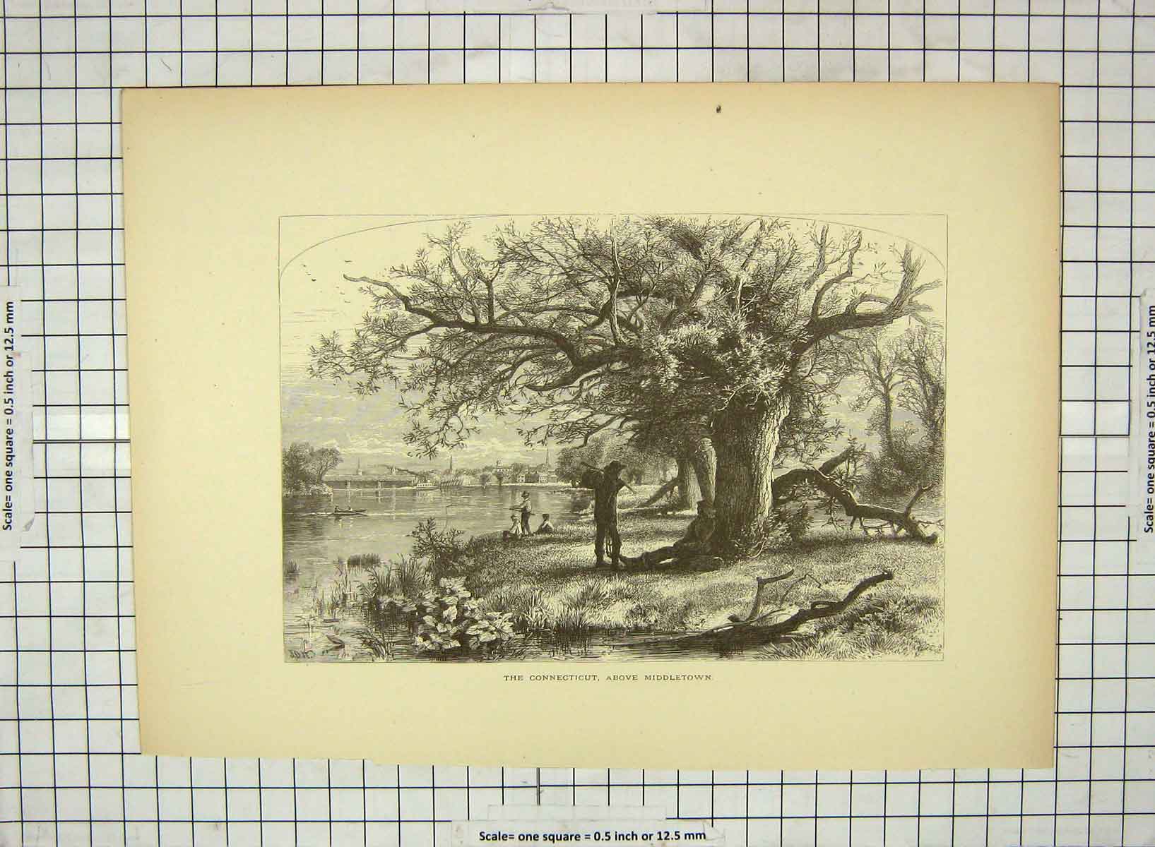 Original Old Antique Print C1880 Connecticut Middletown Trees Mouth Park River
