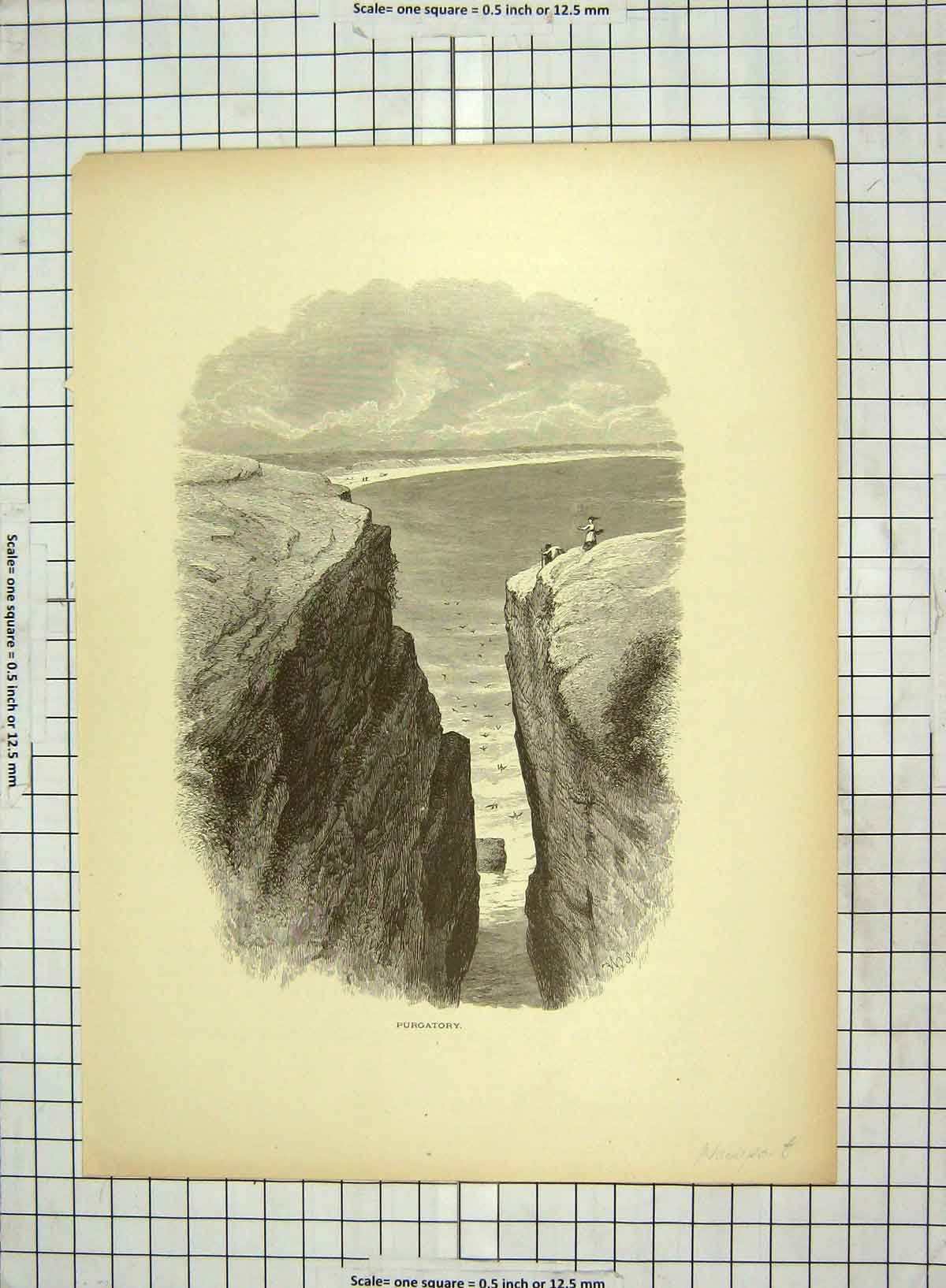 Original Old Antique Print C1880 Purgatory Newport View Sea Trees America 19th