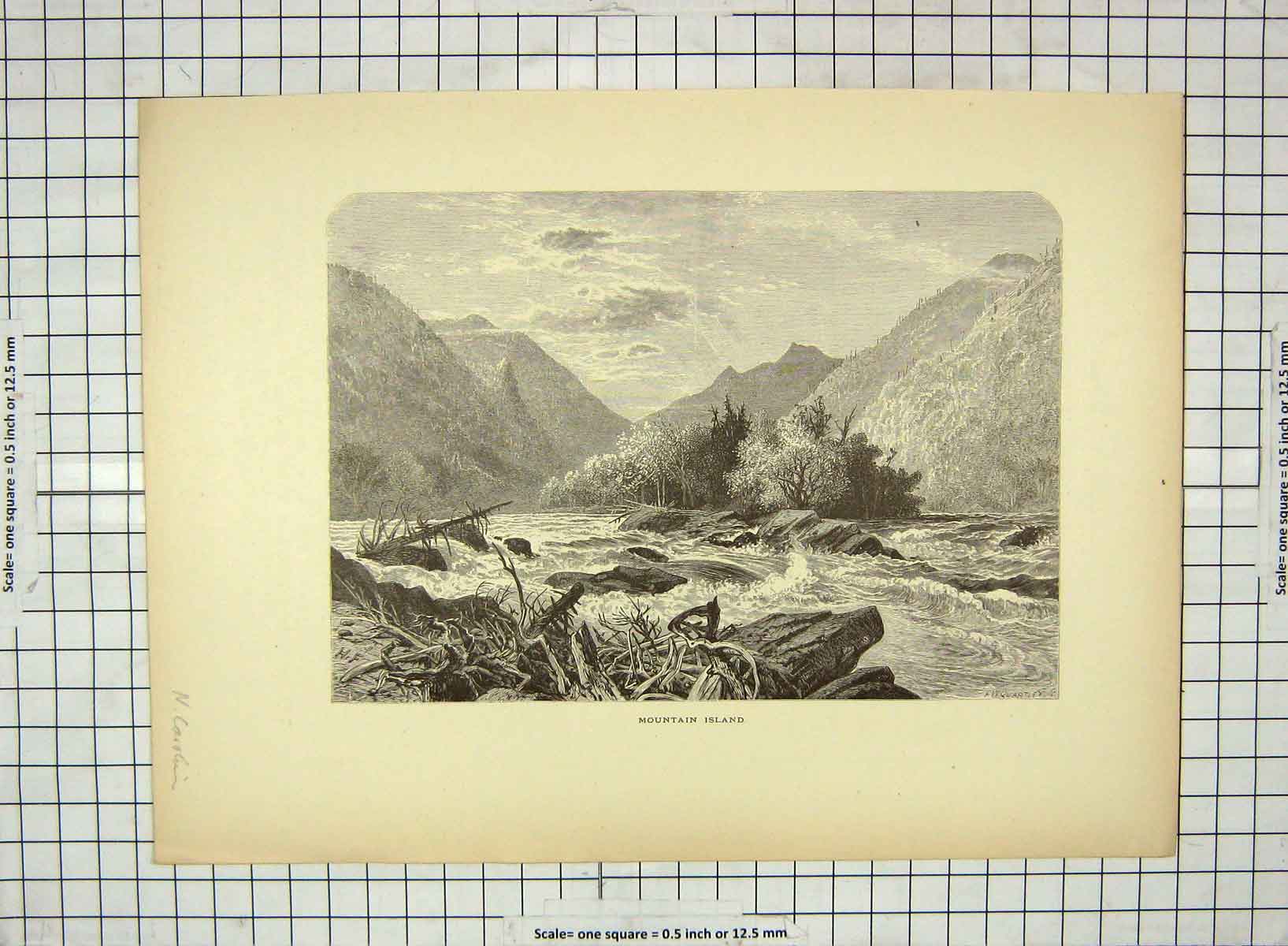 Original Old Antique Print C1880 Mountain Island America Scene French Broad