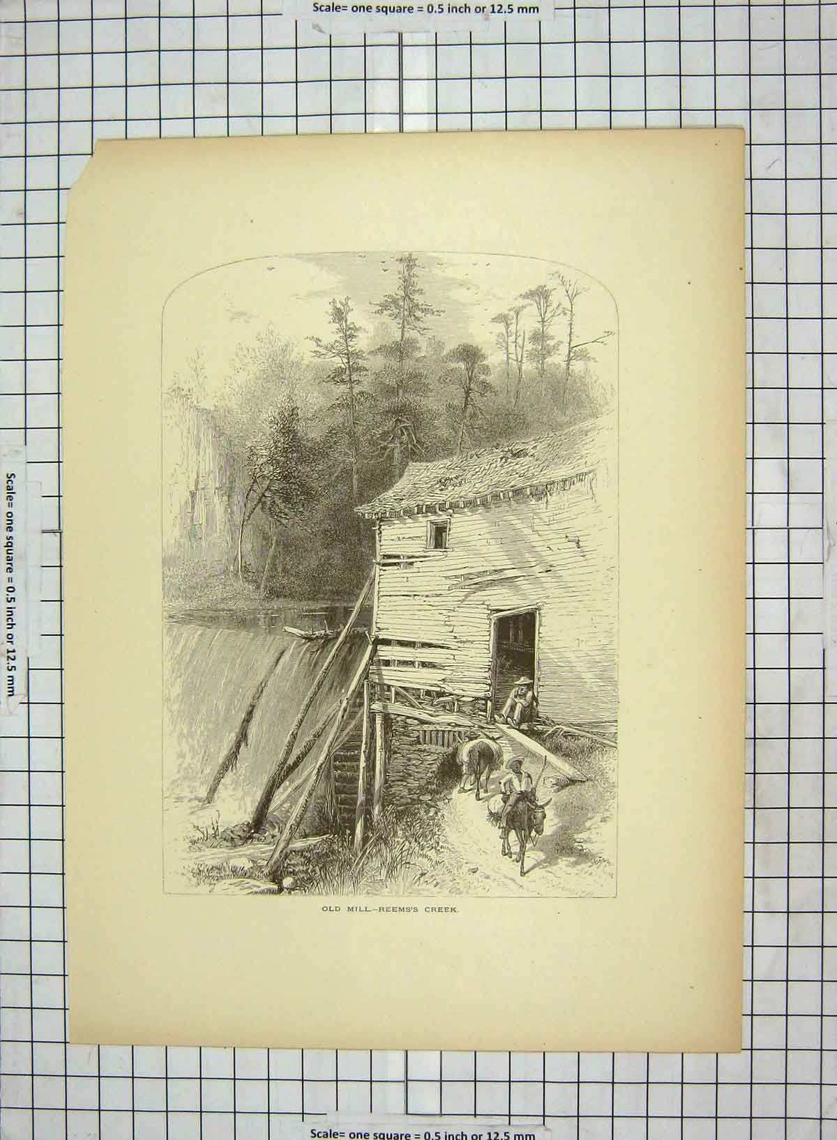 Original Old Antique Print C1880 Mill Reems'S Creek Horses French Broad 19th