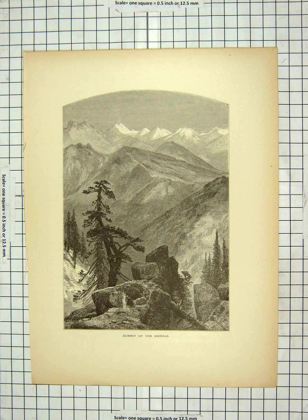 Original Old Antique Print C1880 Summit Sierras Mountains Giant'S Gap America