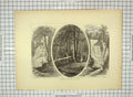 Old Antique Print C1880 Milford Glen River Waterfalls Dingman Delaware 19th