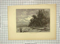 Old Antique Print C1880 Shore Lake Forest America Michigan Trees America 19th