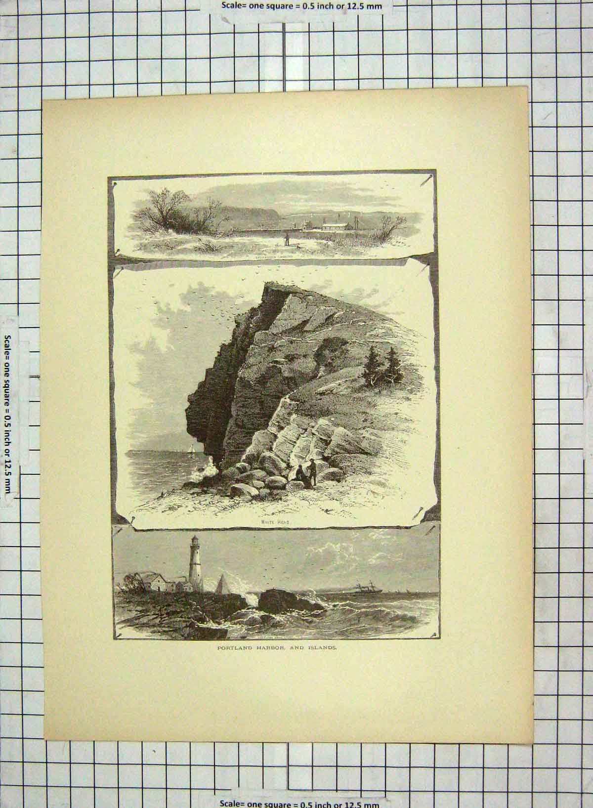 Original Old Antique Print C1880 Portland Harbour Islands White Head Cushing'S
