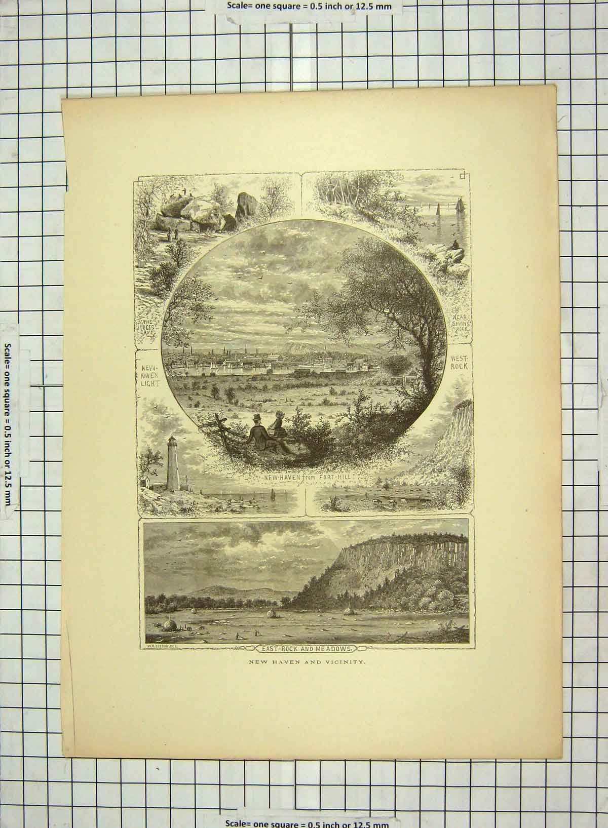 Old Antique Print C1880 New Haven Fort-Hill East-Rock Elms Trees America 19th