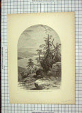 Old Antique Print C1880 Lake Memphremagog Owl'S Mount Elephantus America 19th
