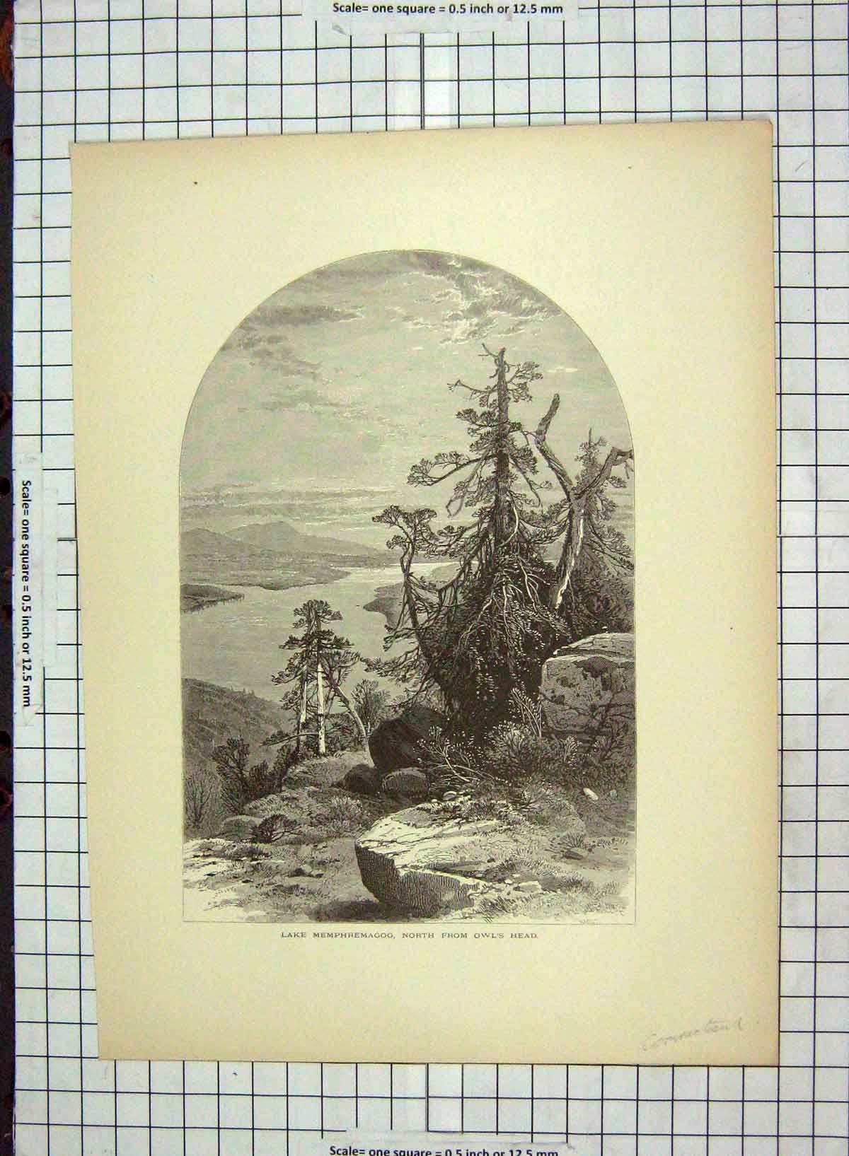 Old Antique Print C1880 Lake Memphremagog Owl'S Mount Elephantus America 19th