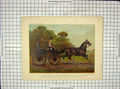 Original Old Antique Print C1880 Single Harness Phaeton Horse Columbine Baynes