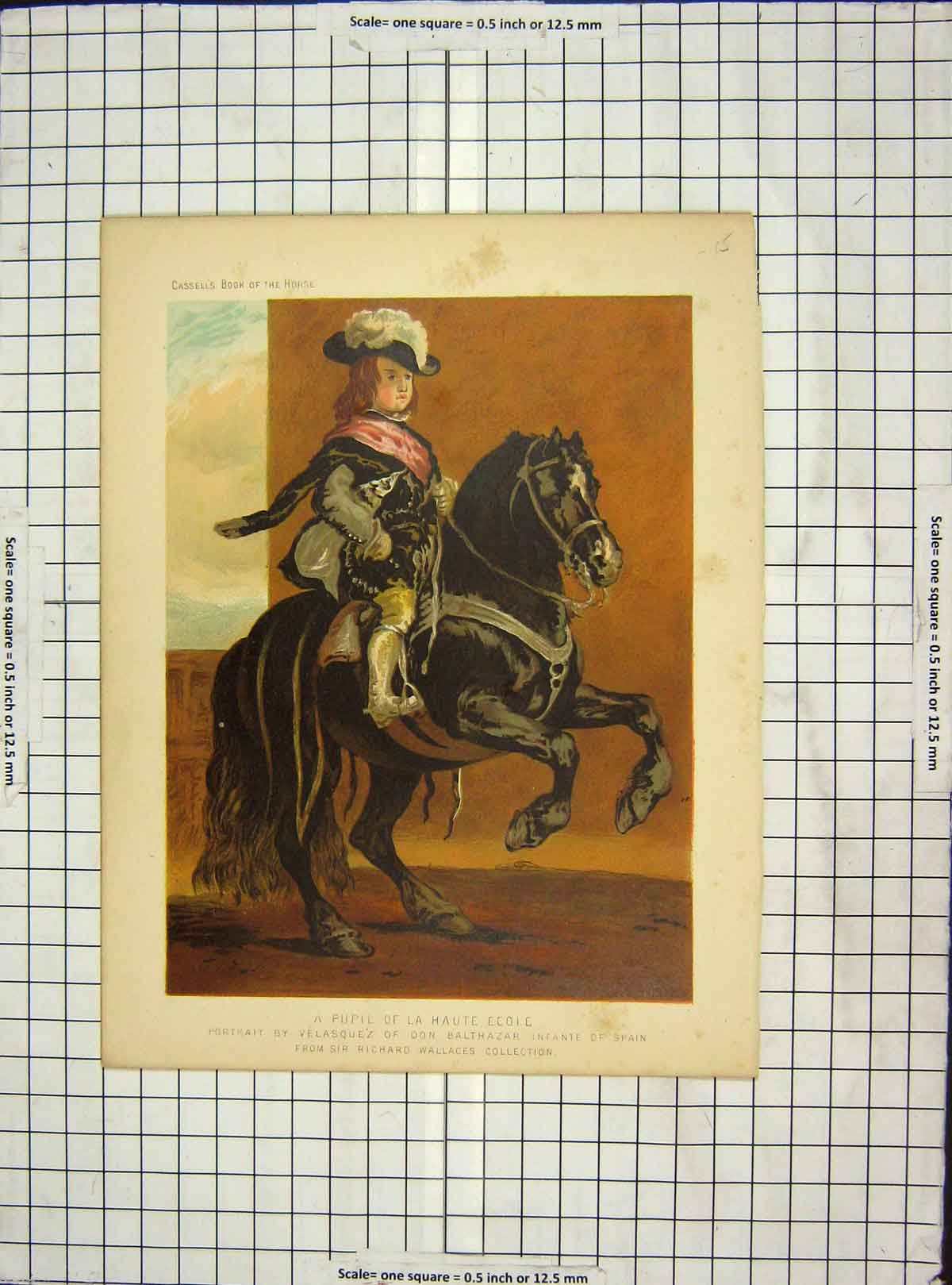 Old Antique Print C1880 Pupil Haute Ecole Horse Balthazar Spain Wallaces 19th