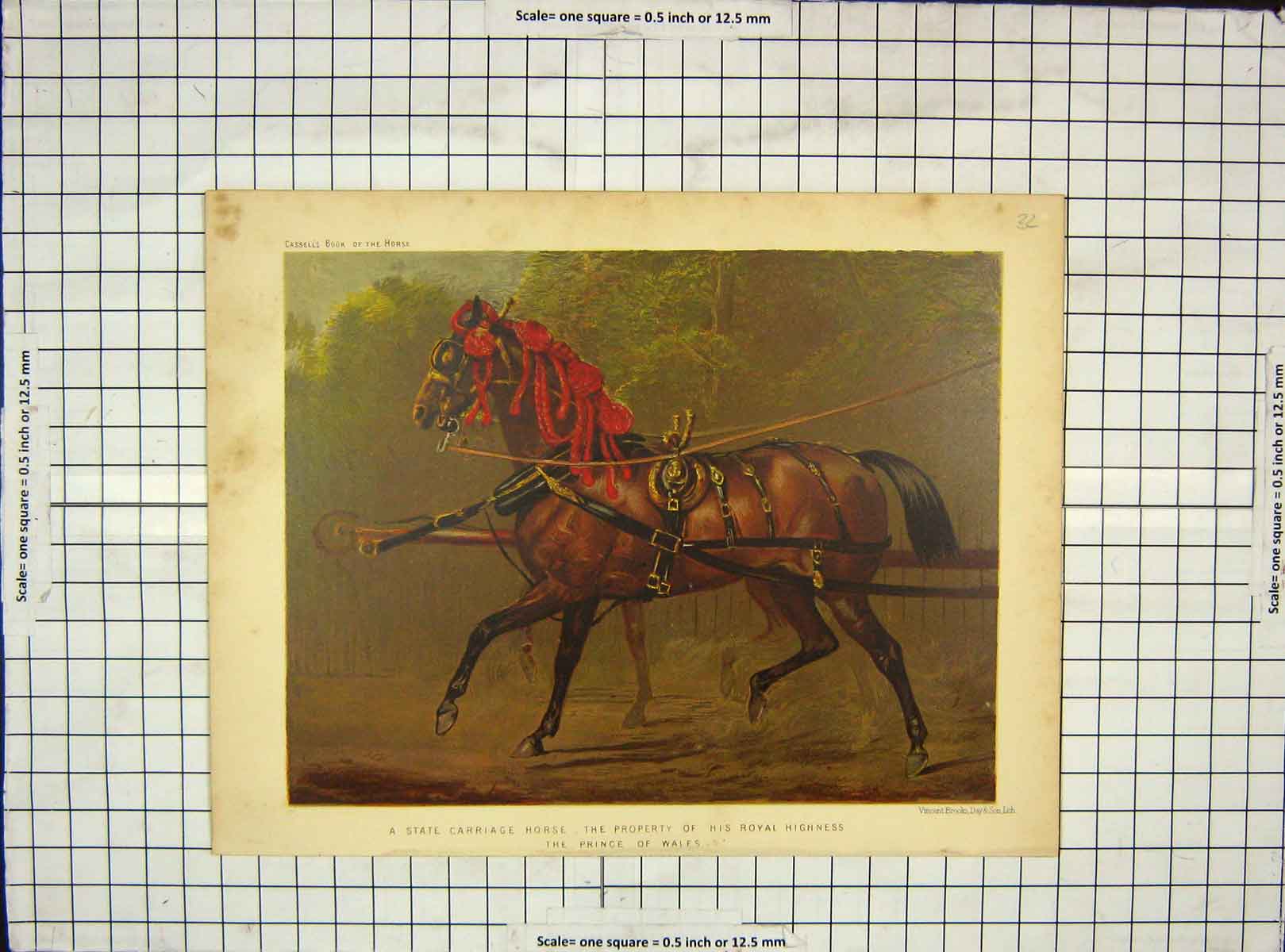 Original Old Antique Print C1880 State Carriage Horse Prince Wales Colour 19th