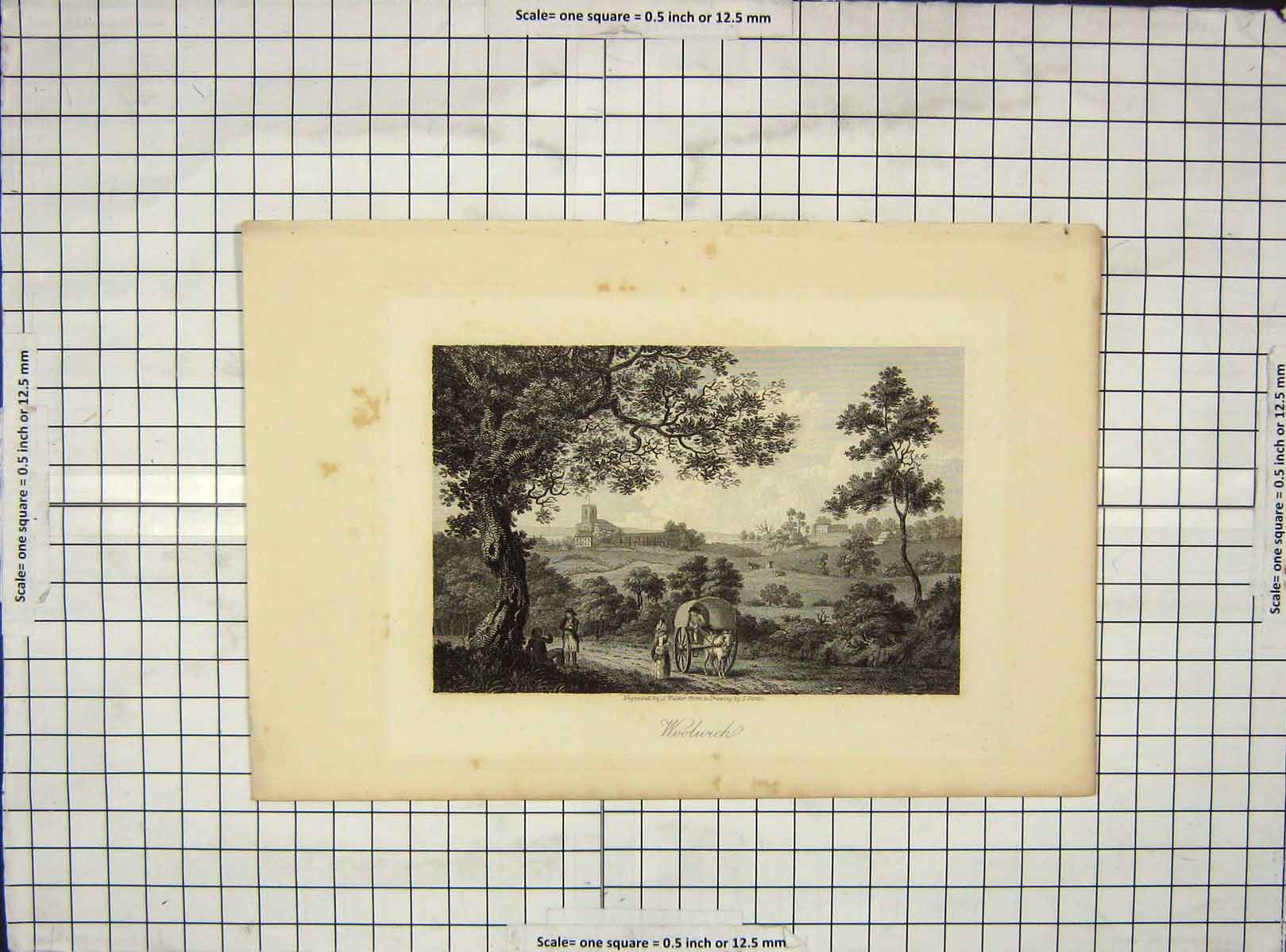 Original Old Antique Print View Woolwich Horse Cart Engraving Walker
