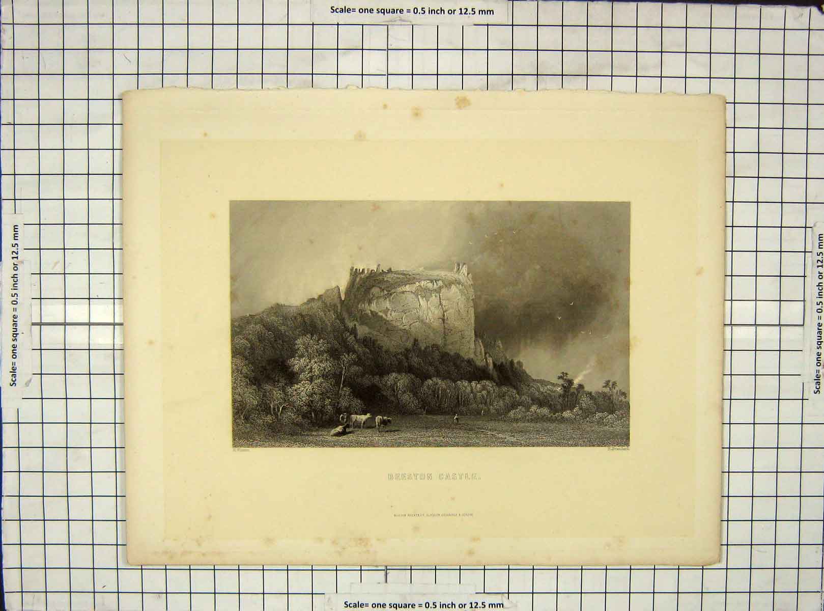 Original Old Antique Print View Breston Castle Cows Engraving Brandard Warren