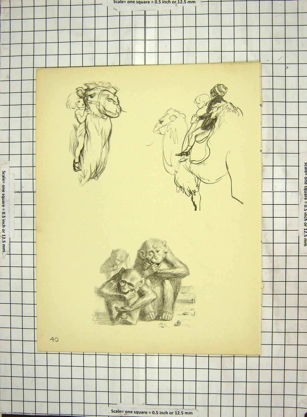Original Old Antique Print C1940 Drawing Monkeys Camel Children Pony Horse