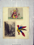 Antique Old Print C1880 Delphi Cliffs Finden Llyn Idwal Nant Frangon Bird 19th
