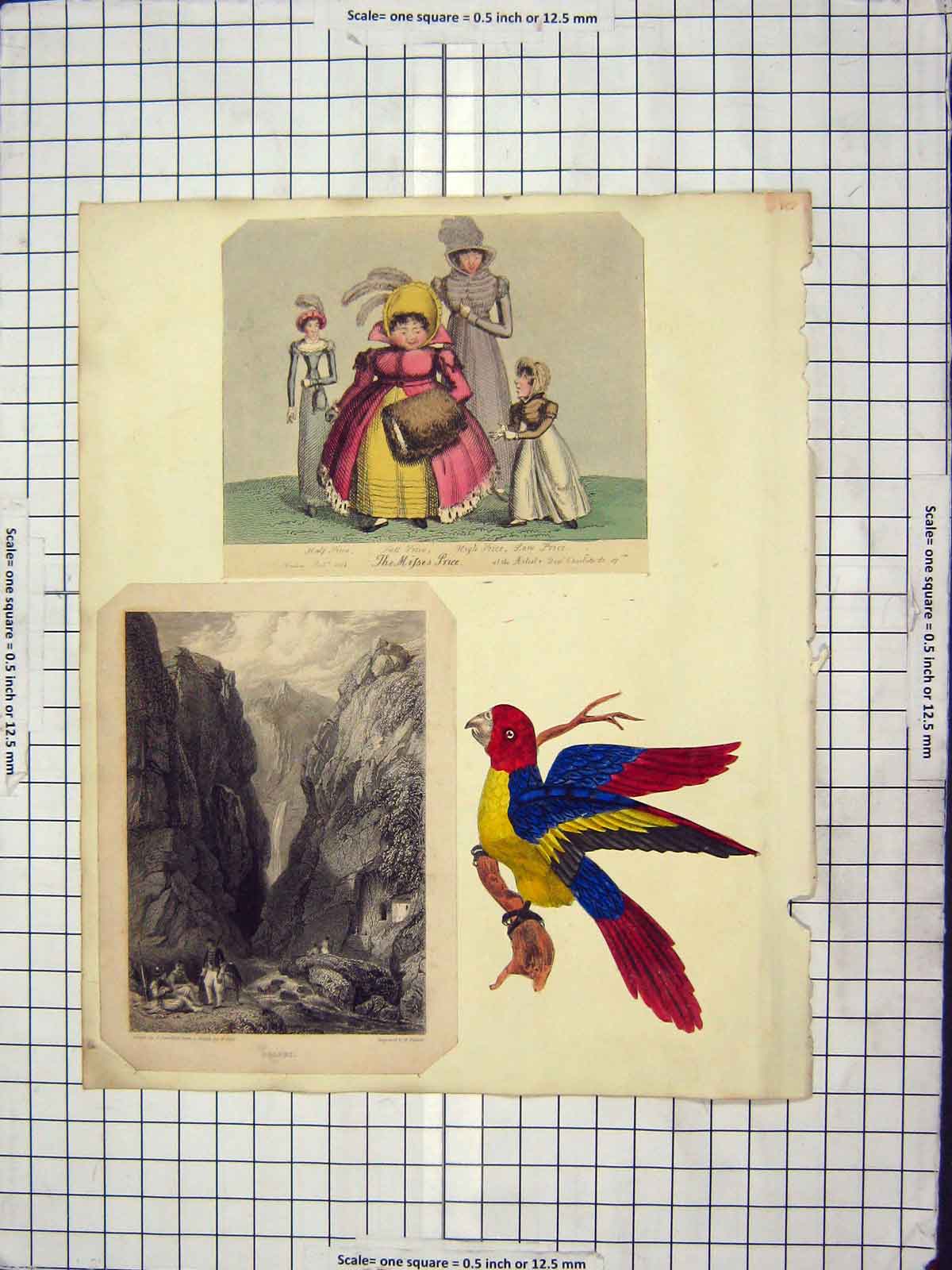 Antique Old Print C1880 Delphi Cliffs Finden Llyn Idwal Nant Frangon Bird 19th