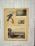 Old Antique Print C1880 Palace Croydon Surrey Santa Maura Rabbit Poacher 19th