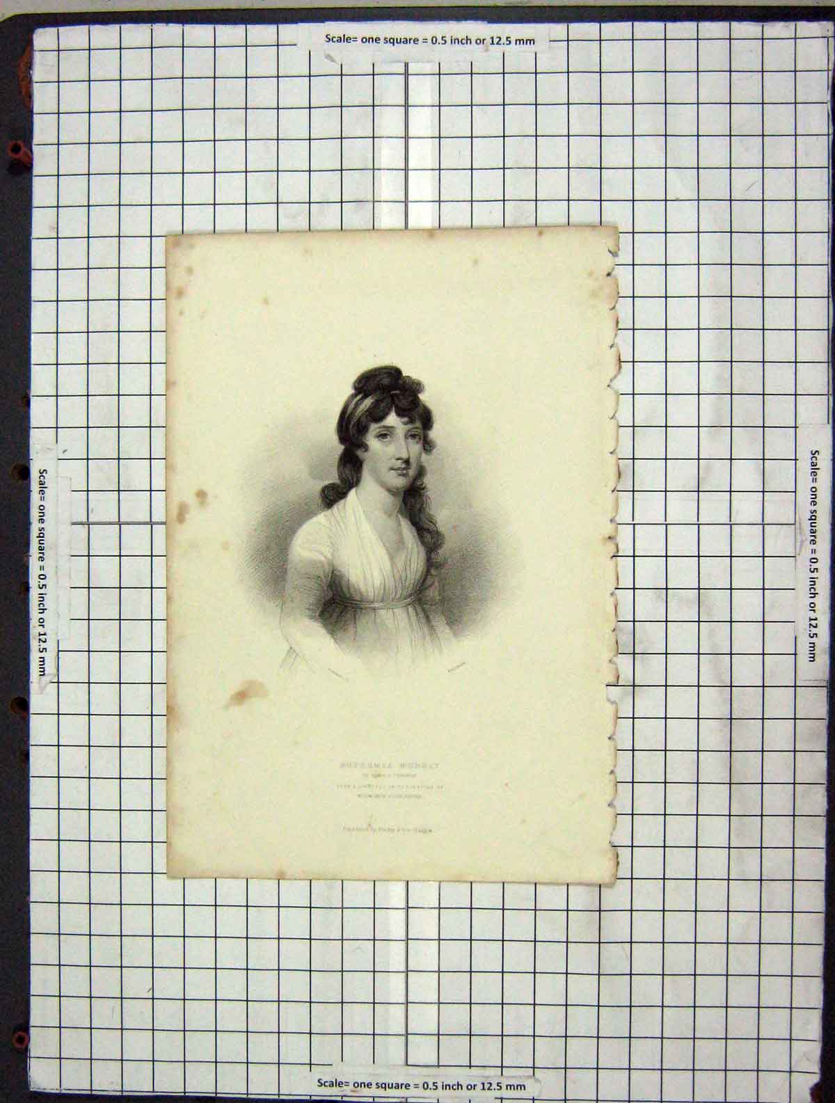 Original Old Antique Print C1880 Portrait Euphemia Murray Flower Strathmore