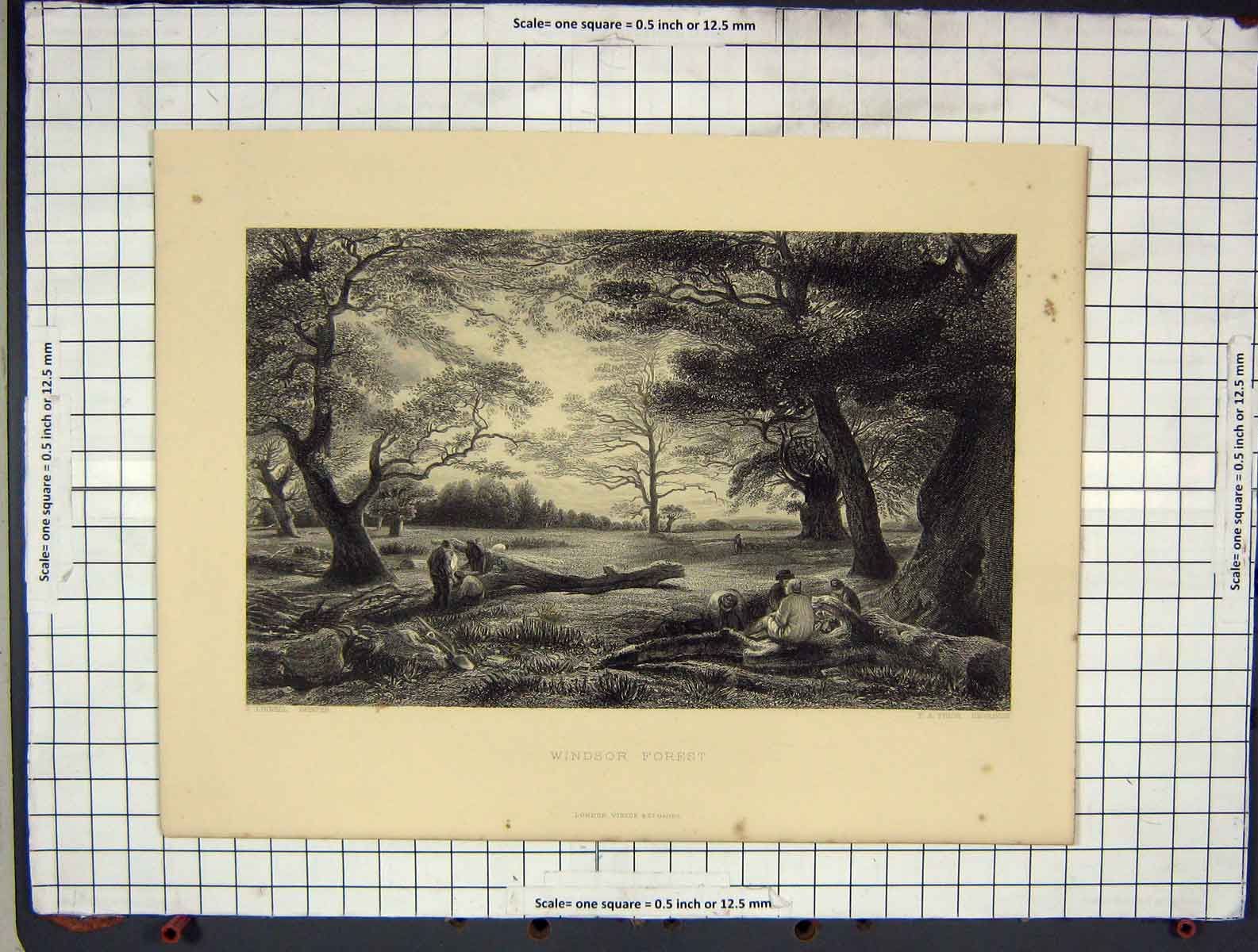 Original Old Antique Print C1880 Windsor Forest Trees Engraving Prior Linnell