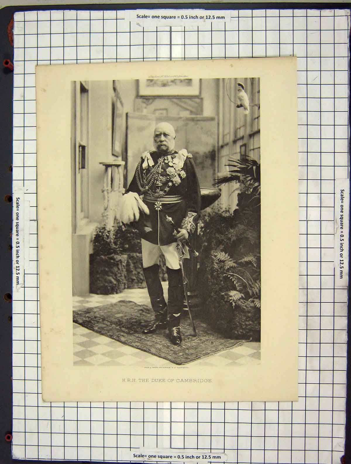 Original Old Antique Print C1880 Portrait Photograph Duke Cambridge Turner 19th