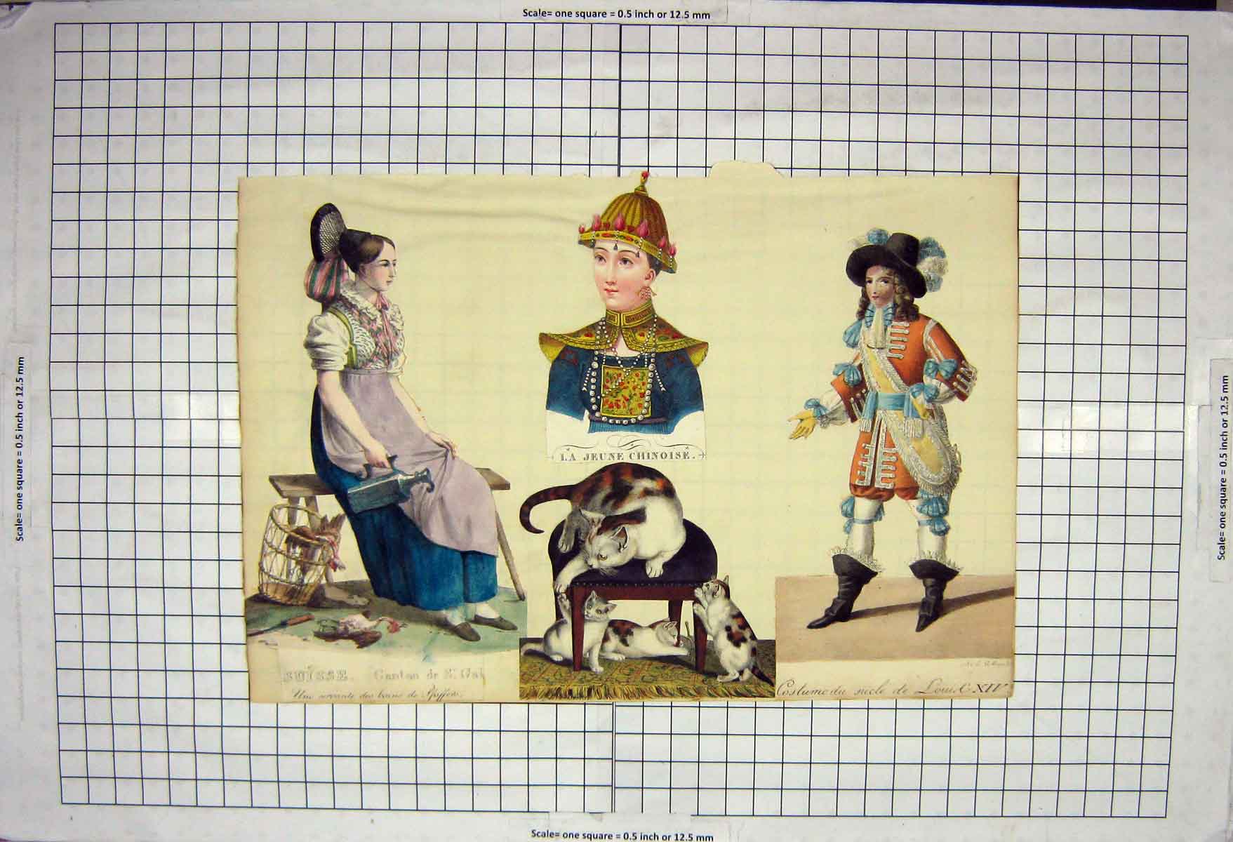 Old Antique Print Costume People Loui Suisse Jeune Chinoise Cats Colour