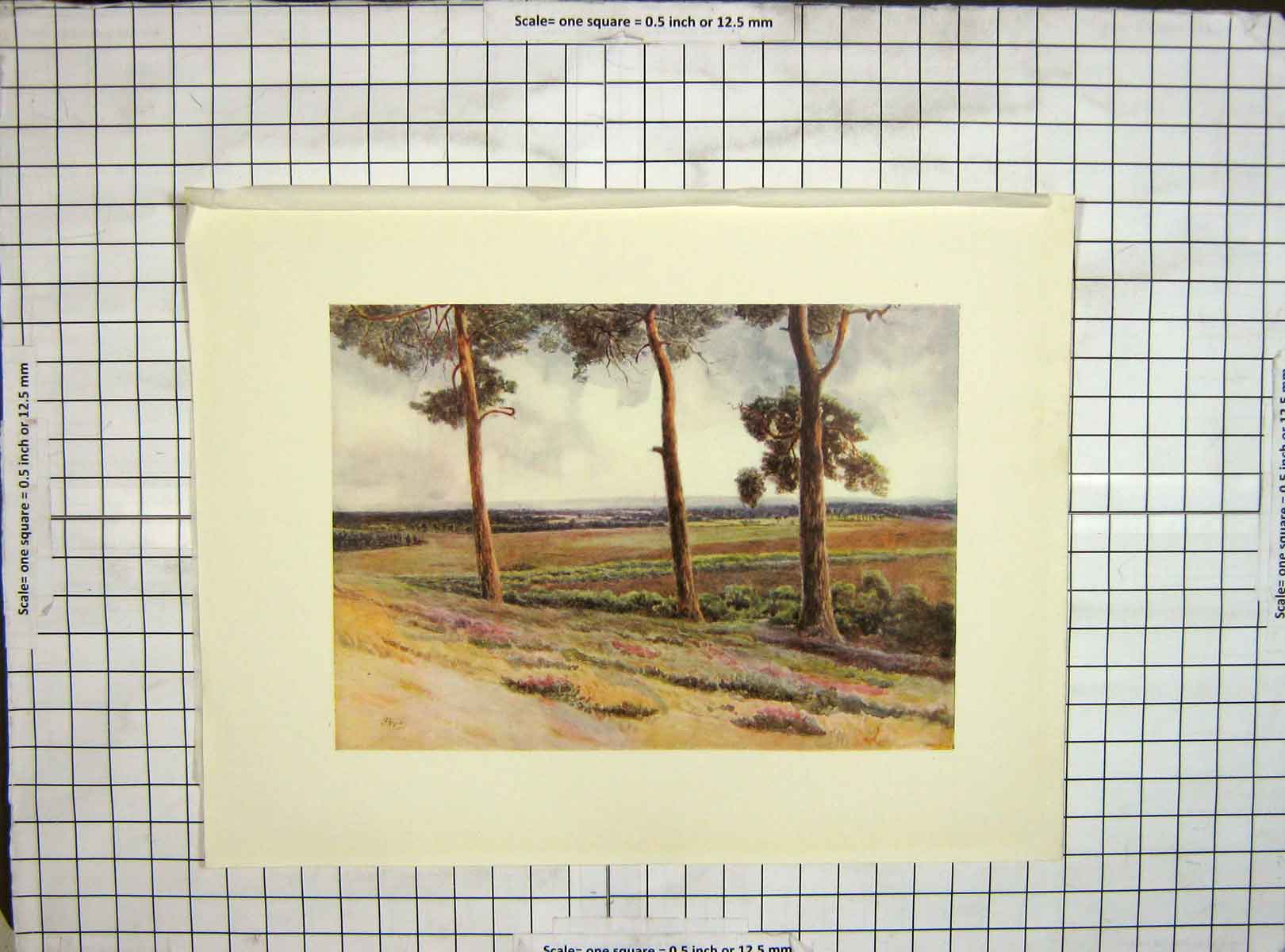 Original Old Vintage Print C1930 View Staple Hill Landscape Trees Colour 20th